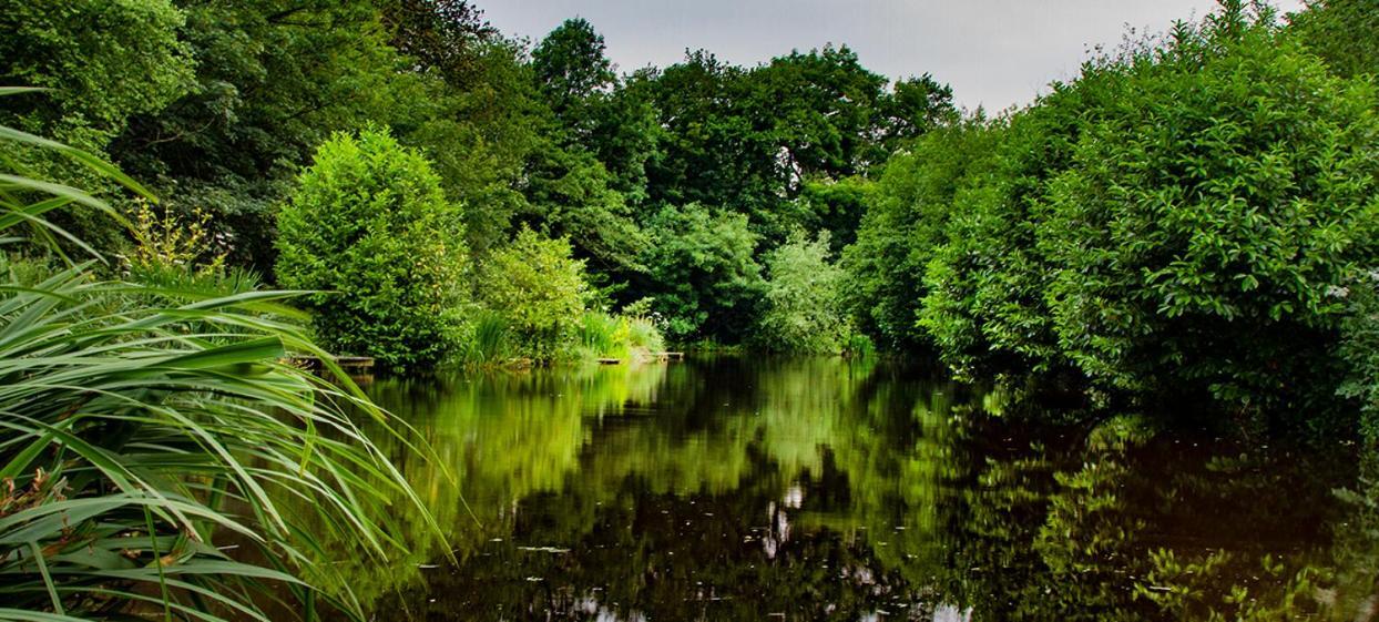 Lloyds Meadow Glamping Hotel Chester Luaran gambar